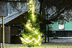 image4-rotated