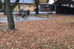 laub1