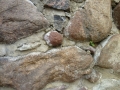 P1040424
